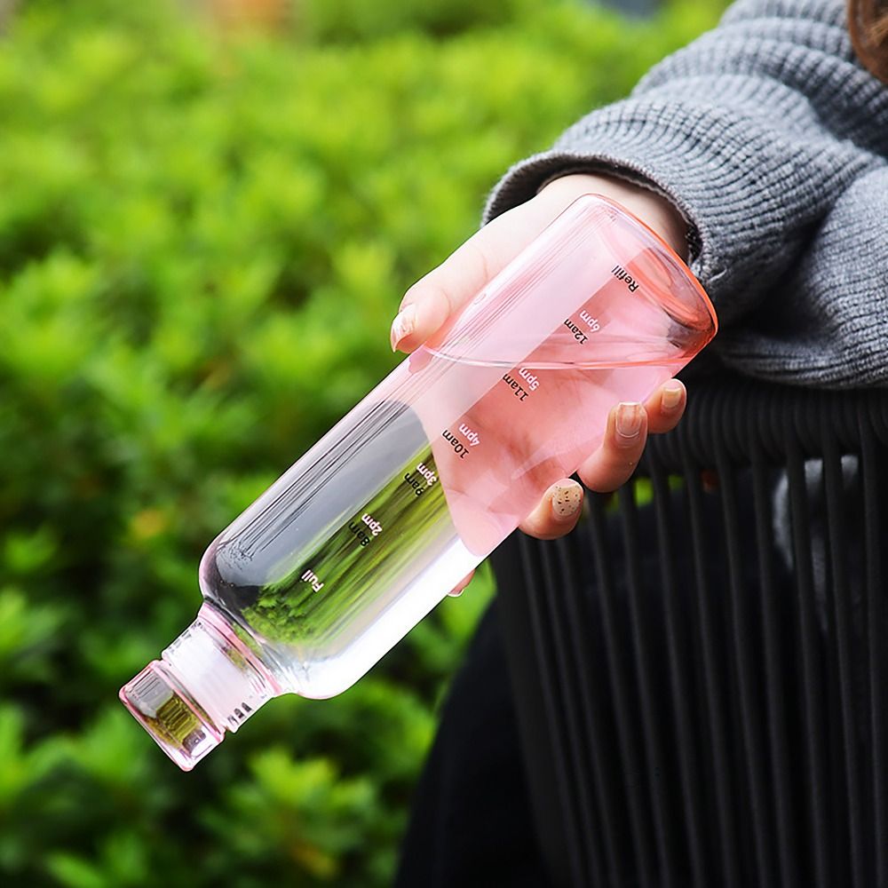 500/750ML Water Bottle INS Sty - đánh giá và giá Juice Tea Coffee